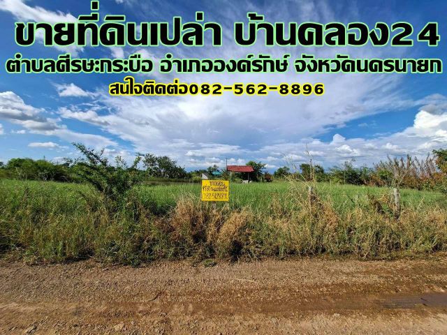ขายที่ดินเปล่า บ้านคลอง24 ตำบลศีรษะกระบือ อำเภอองค์รักษ์ จังหวัดนครนายก