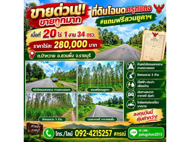 ขายที่ดินครุฑแดง+สวนยูคาฯ ราคาถูกมาก ติดถนนลาดยาง อ.สวนผึ้งทจ.ราชบุรี