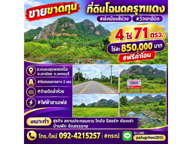 ขายขาดทุน ที่ดินผังเมืองสีม่วง ติดถนนลาดยาง วิวเขา ติดลำห้วย อ.เขาย้อย จ.เพชรบุรี