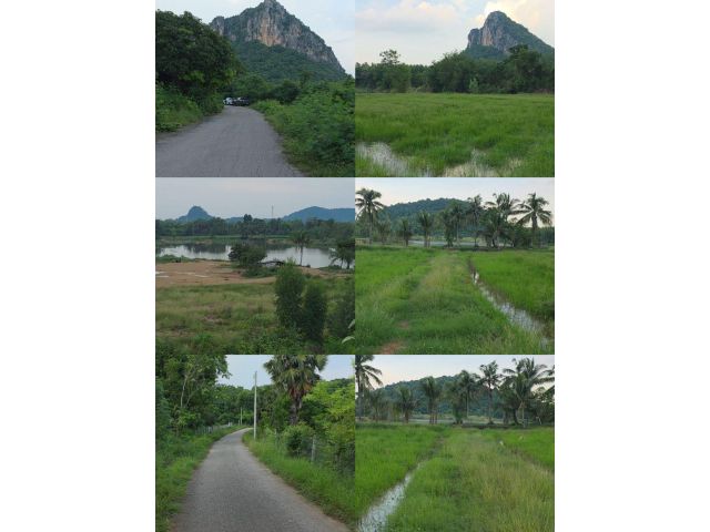ที่ดินเนื้อที่ 35 ไร่ โฉนดครุฑแดงพร้อมโอน เหมาะเปิดบ่อตกปลา ร้นกาแฟ โคกหนองนา