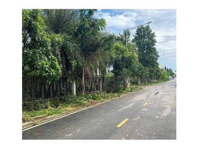 ขายที่ดิน 120 ตรว. คลองแปด ซอยสัมพันธ์ ต.ลำผักกูด อ.ธัญบุรี จ.ปทุมธานี