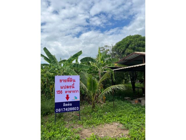 ขาย ที่ดินเปล่า 156 ตร.ว. คลองพระราชาพิมล อ.บางบัวทอง จ.นนทบุรี