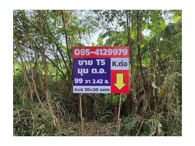 ขายที่ดินแปลงจัดสรรพหล54/1 แยก 8-4-3 เชื่อมหรือเข้า สายไหมซอย 6 แปลงมุม (ซอยตาลเดี่ยว)ทำบ้านสวยๆเยอะ 99 ตารางวา ซ.ตาลเดี