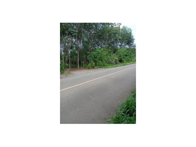 ขายที่ดิน 70 ไร่ ติดถนนลองตาคง-นาจอก อ.โป่งน้ำร้อน จ.จันทบุรี