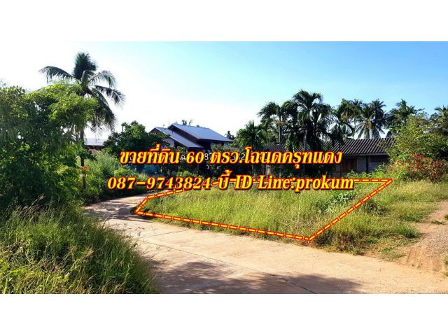 ขายที่ 60 ตรว.