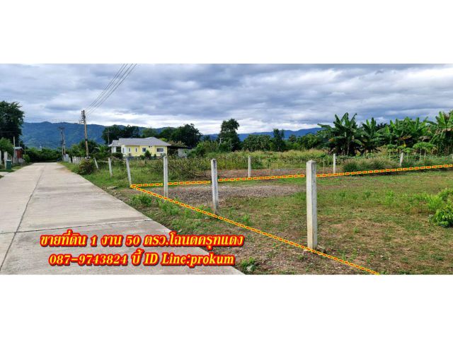 ขายที่ดินเพชรบูรณ์ 1 งาน 50 ตรว.โฉนดครุฑแดง ราคา 550,000 บาท