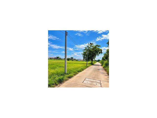 ขายที่ดิน 13 ไร่ ใกล้ถนนทางหลวงหมายเลข 290 ต.โคกสูง อ.เมืองนครราชสีมา จ.นครราชสีมา