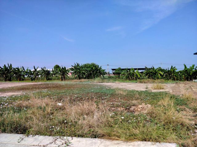 ขายที่ดิน