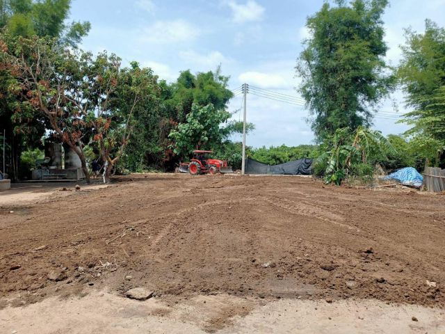 ขายที่ดินตำบลขัวมุงสารภีหมู่ 9 โฉนดพร้อมโอน