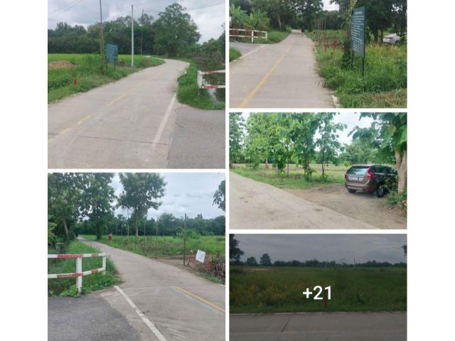 #*ขายที่ดิน7ไร่ อยู่ติดถนนคอนกรีตบ้านสันมะแปบซอย4ต.แม่ปูคา ใกล้เทศบาลแม่ปูคา ขายถูก