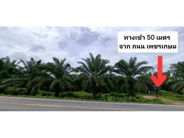 ขายที่ดิน 14 ไร่ แบ่งขายได้ คุระบุรี พังงา ติดถนน