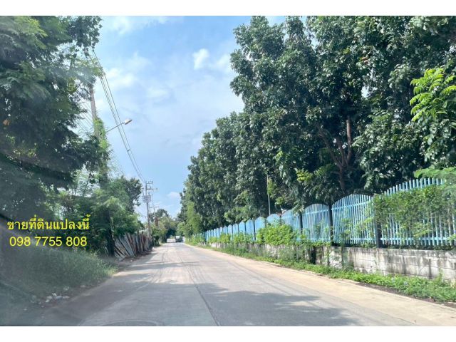 ขายที่ดิน 1 ไร่ ซอยพระแม่มหาการุณย์ 27 ปากเกร็ด นนทบุรี