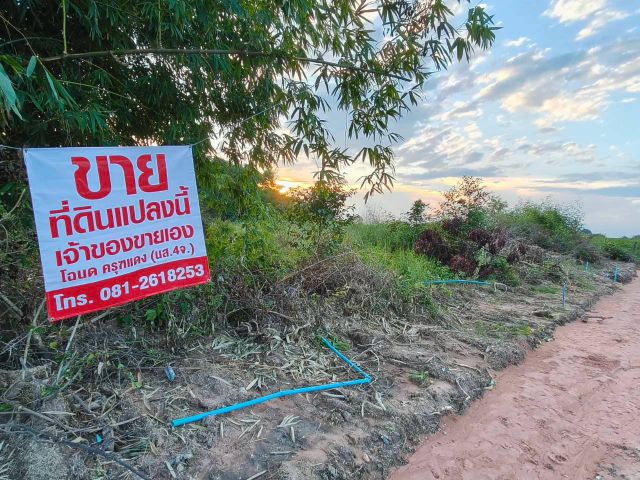 ขายยกแปลง ที่ดินสวยหน้ากว้าง เมืองโคราช ต.พลกรัง 115 ตรว. เพียง 3.9 แสน!!