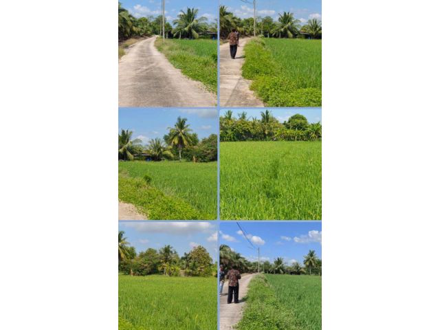 ที่ดินติดถนน/ชุมชน