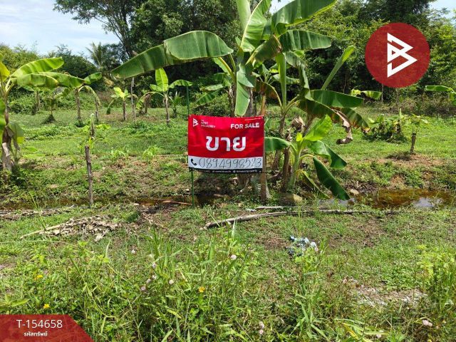 ขายที่ดิน เนื้อที่ 1 งาน 20.9 ตร.วา ปากพูน นครศรีธรรมราช