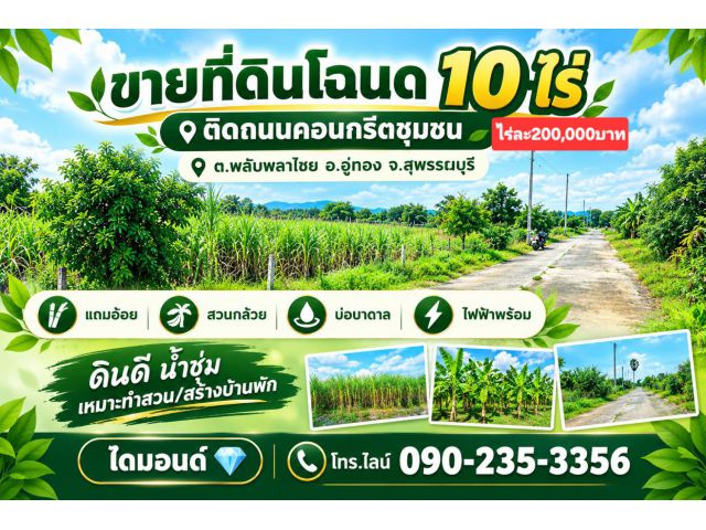 ขายที่ดิน10ไร่ สไตร์ไร่สวนผสม ติดถนนคอนกรีต ไฟฟ้า น้ำบ่อบาดาล ต.พลับพลาไชย อ.อู่ทอง จ.สุพรรณบุรี