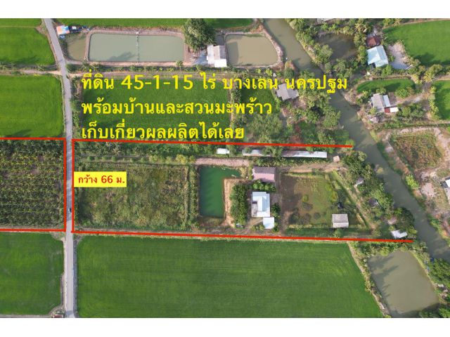 ขายที่ดิน 45 ไร่ บางเลน นครปฐม ติดถนนใหญ่ พร้อมบ้านและสวนมะพร้าว สร้างรายได้ต่อเนื่อง