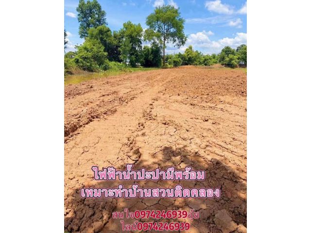 ขายที่ดิน200ตรวราคา450,000บาทเงินสดหรือเงินผ่อนได้บ้านโนนมะง่อง ต นาแขม อ กบินทร์บุรี จ ปราจีนบุรีเหมาะทำบ้านพักอาศัย
