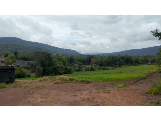 ที่ดินสวยวิวเขาภูเรือ ทำเลดี ติดถนนลาดยาง ไฟฟ้าผ่าน 46 ไร่ๆละ200,000 เหมาะกับบ้านพักตาอากาศมาก