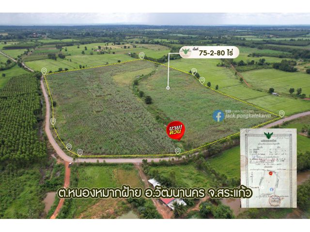 ที่สวยติดลาดยาง ที่ดิน 75 ไร่กว่า ติดถนนลาดยางยาว 600 เมตร ราคาไร่หลักหมื่น!