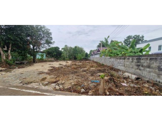 ขายที่ดินหนองปรือ 166 ตรว. ติดถนนคอนกรีต ใกล้อ่างเก็บน้ำมาบประชัน-3กม. อ.บางละมุง ชลบุรี