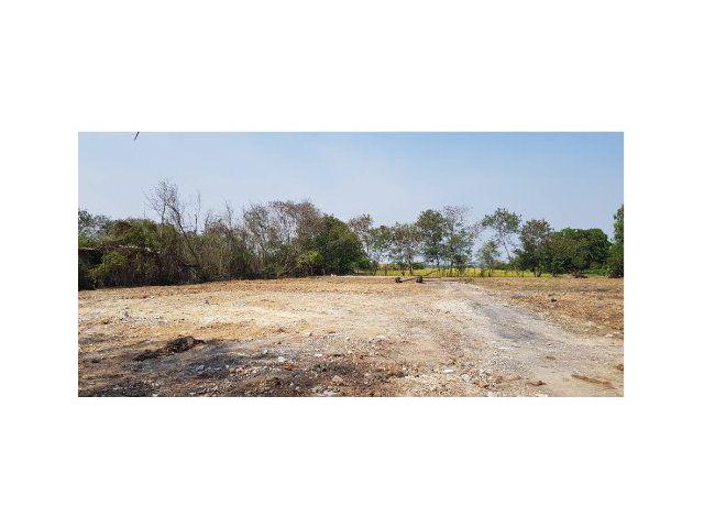 ให้เช่าที่ดิน 7 ไร่ คลองสิบ ติดถนนลำลูกกา ต.บึงทองหลาง อ.ลำลูกกา จ.ปทุมธานี