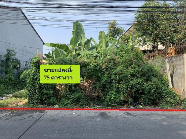 ขายที่ดิน ใกล้รถไฟฟ้าสายสีชมพู ซ.รามอินทรา 65 แยก 2 ขนาด 75 ตารางวา เหมาะสร้างบ้านพักอาศัย