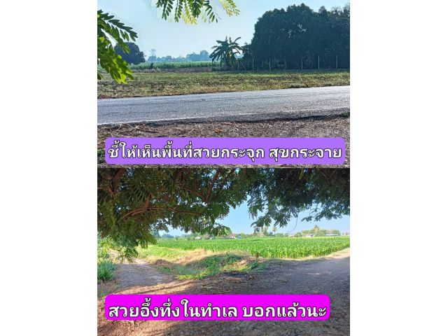 สั้นๆง่ายๆได้ใจ ดีเด็ตขาดจนมิอาจนิ่งเฉยเมื่อมีโอกาส นายแน่มากหากกล้ามาพื้นที่ นี่คือคำเตือนเกรงว่าจะอดใจกับราคาไม่ไหว