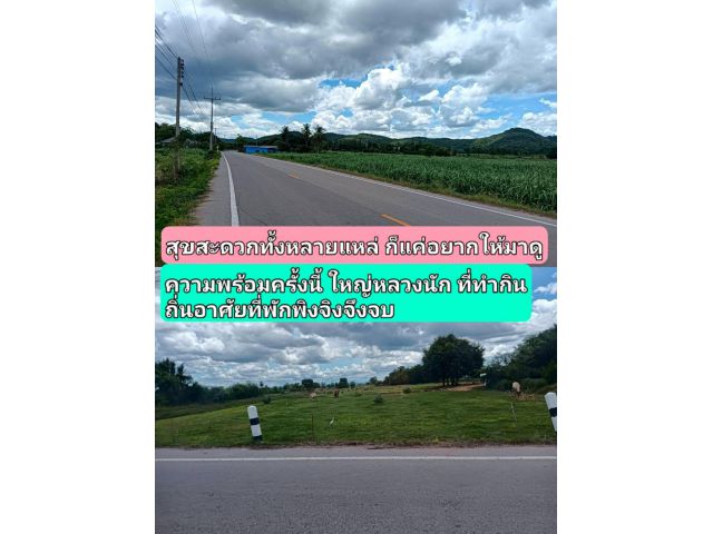 ปล่อยของอยากให้มองแต่แปลงดีสู่ชีวิต แปลงเล็กให้ใหญ่ใส่ใจในคุณสมบัติ อยากให้มองแปลงที่ใช่แล้วจะไม่ผิดแปลงเพราะสวยแห่งทำเล