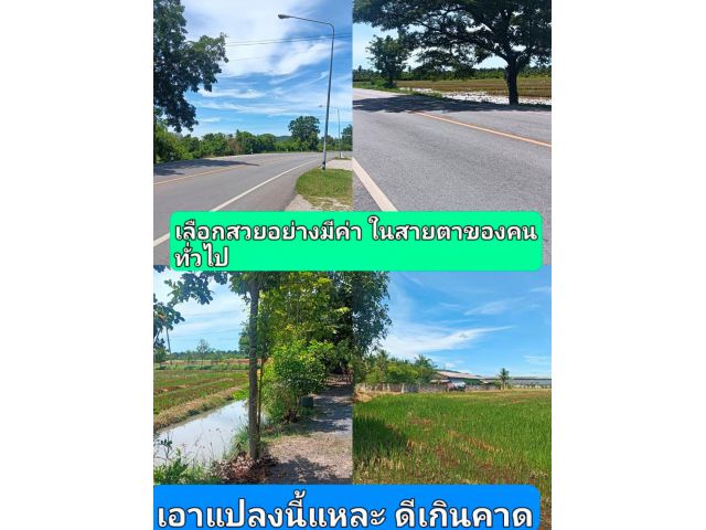 ไม่อยากให้รอในเมื่อมีแปลงดีรออยู่ ดูก่อนรู้ก่อนตามกระแสแค่ตามใจตัวเองถูกต้องตามภูมิศาสตร์ของทำเล ราคาแห่งคุณภาพที่นำเสนอ