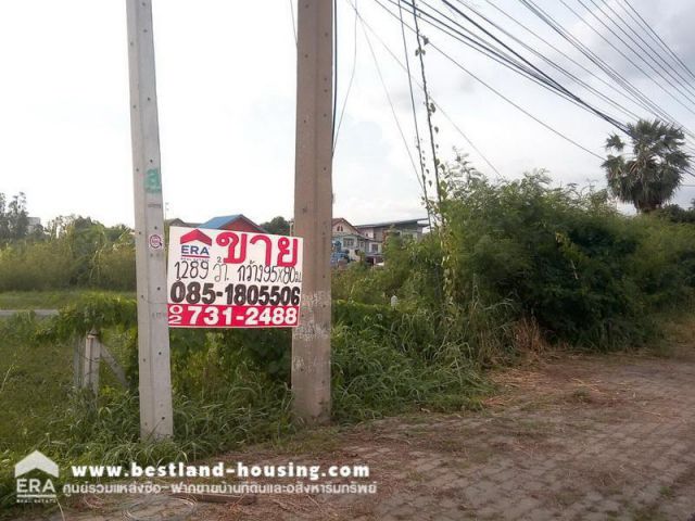 ขายที่ดิน ติดถนนปทุมธานีสายใน ถมแล้ว พื้นที่ 3-0-89 ไร่ กว้าง 90 เมตร ลึก 80 เมตร ติดถนนปทุมธานีสายใน