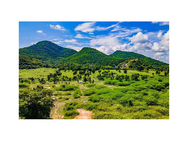 ที่ดินหัวหิน ตรงข้ามสวนน้ำวานานาว่า 50 ตร.วา