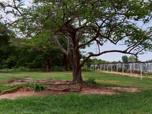 ขายที่ดินติดถนน เนื้อที่ 6 ไร่ 1 งาน 62.7 ตร.ว. ใกล้ท่าอากาศยานนานาชาติขอนแก่น