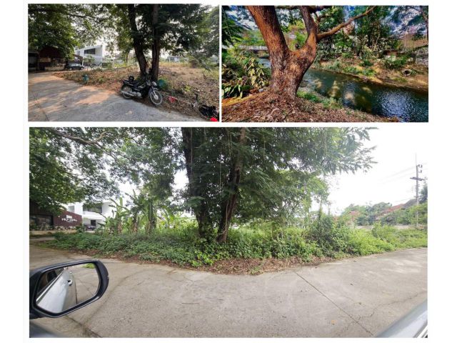 ขายที่ดินแปลงมุม 135ตร.ว. หมู่บ้านริมน้ำ เชียงใหม่ | ถมแล้ว โฉนดครุฑแดง ใกล้ลำเหมือง ราคา 4.98 ล้านบาท เจ้าของขายเอง