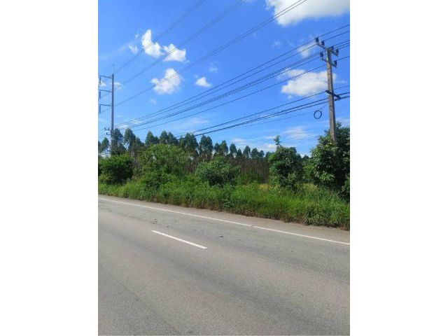 ขายที่ดิน 10 ไร่ ติดนิคมอุตสาหกรรมบ่อทอง ถนนสุวรรณศร ต.บ้านนา อ.กบินทร์บุรี จ.ปราจีนบุรี