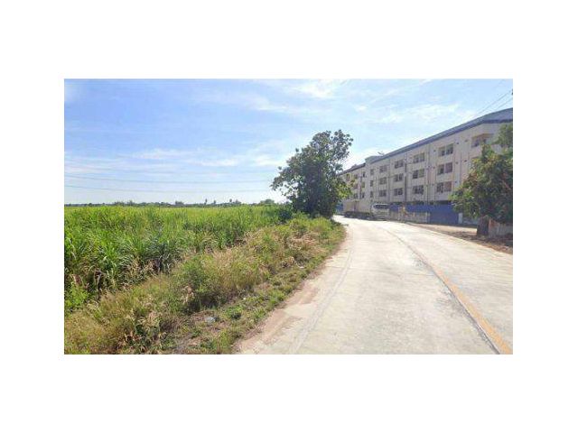 ขายที่ดิน 52 ไร่ ถนนจารุวร ต.หนองเกตุ อ.บ้านบึง จ.ชลบุรี