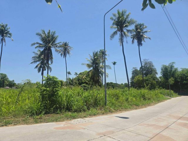 ขายที่ดินทำเลดีหนองข้างคอก 241 ตรว. ซอยหมู่บ้านสวนพฤกษาซ.11 ใกล้ถ.เลียบชลบุรี-พัทยา-500เมตร อ.เมืองชลบุรี