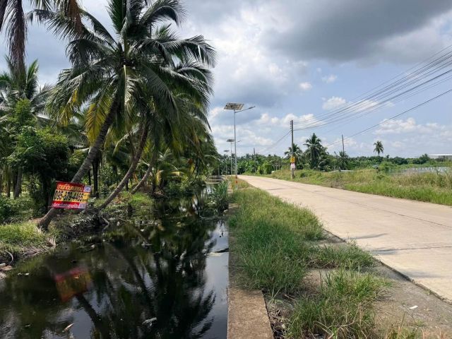 ขายที่ดินนครชัยศรี 641 ตรว ติดถนนสาธารณะ ต.ขุนแก้ว อ.นครชัยศรี จ.นครปฐม