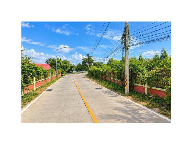 ขายที่ดิน 51 ไร่ ซอยเขามะกอก 9 ต.ห้วยใหญ่ อ.บางละมุง จ.ชลบุรี