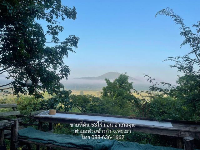 ขาย ที่ดิน ภูเขา ม่อน 53 ไร่ อำเภอจุน พะเยา ที่ดินแปลงสวย โฉนดพร้
