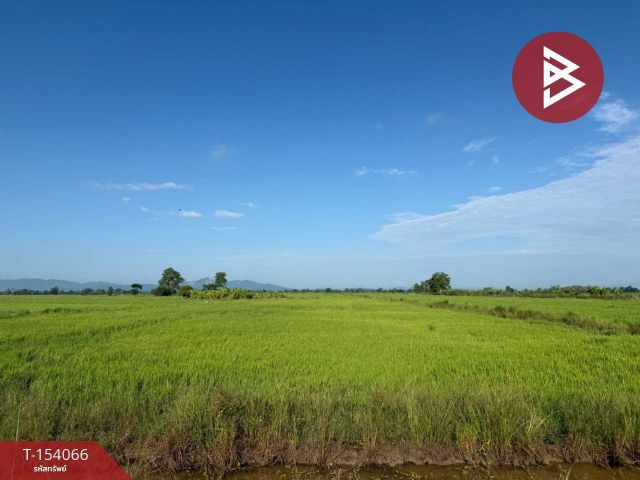 ขายที่ดิน เนื้อที่ 5 ไร่ 3 งาน 56 ตร.วา เชียงคำ พะเยา