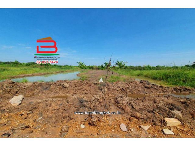 ที่ดินเปล่า เนื้อที่ 100 ตร.ว. ซอยบึงพะยอม ถนนรังสิต-นครนายก ตำบลบึงบา อำเภอหนองเสือ ปทุมธานี