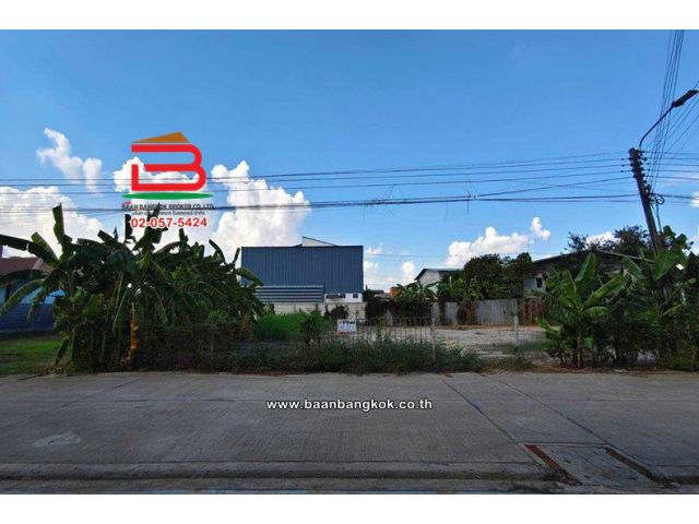 ให้เช่า ที่ดินเปล่า เนื้อที่ 200 ตร.ว. ซอยไสวประชาราษฎร์ 29 ถนนลำลูกกา ตำบลลาดสวาย อำเภอลำลูกกา ปทุมธานี