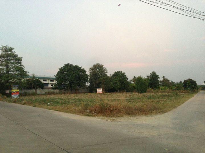 นา พร้าว ศรีราชา