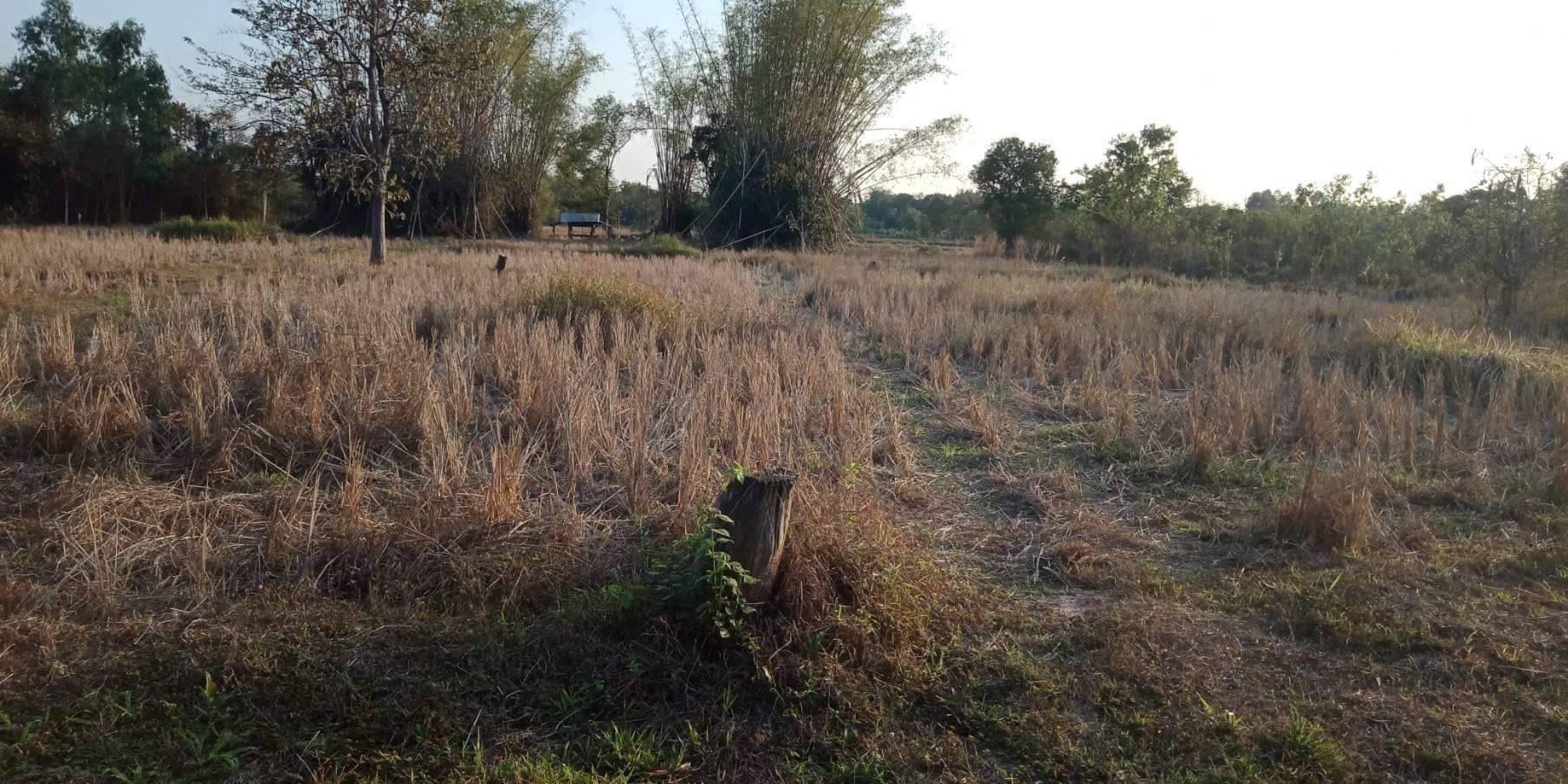 L700 ขายที่ดินสวย เนื้อที่ 2 ไร่ 3 งาน 68.3 ตรว สามพร้าว เมืองอุดรธานี