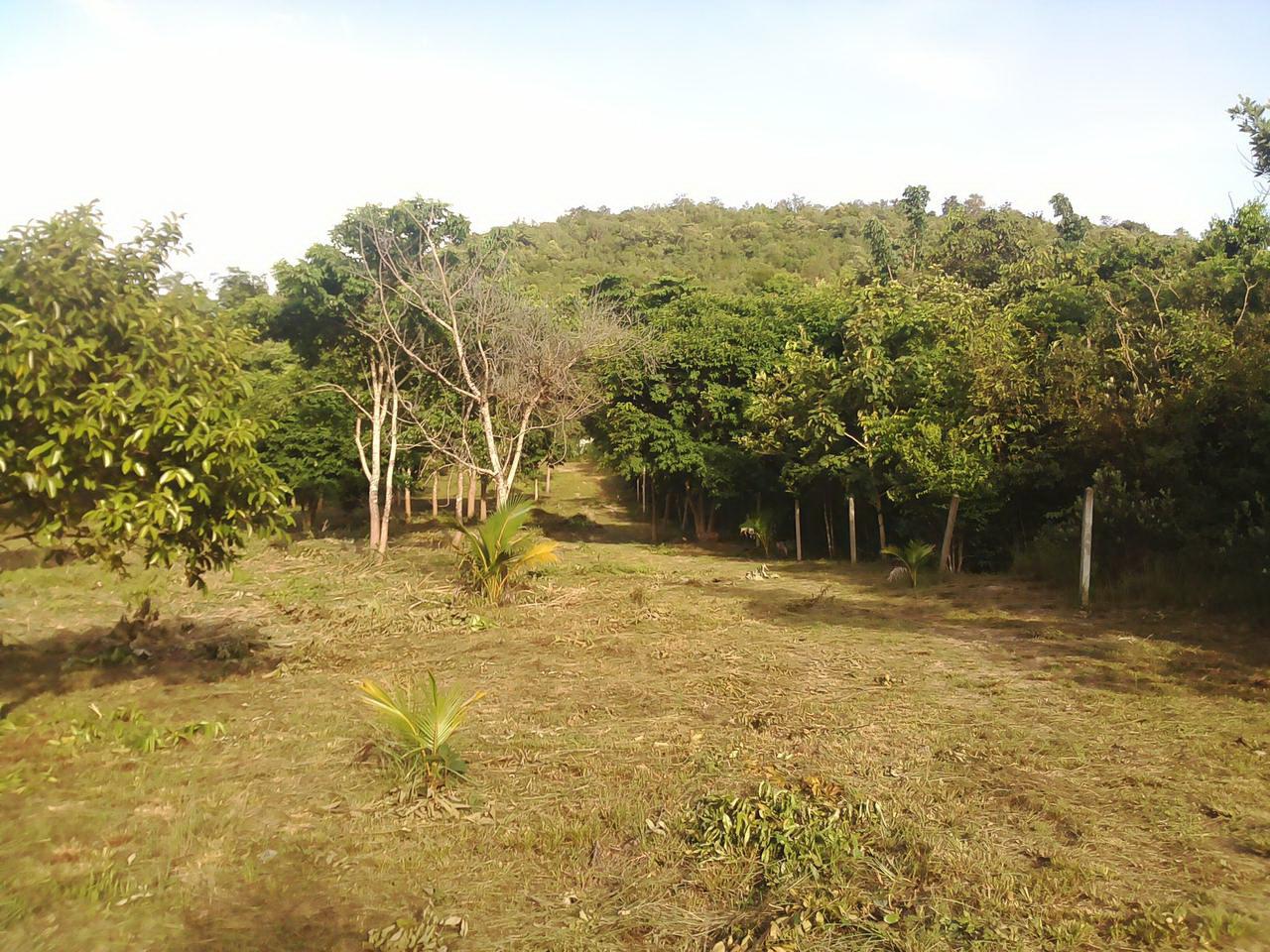 Land for sale 2 rai of land over a hill, big trees a low hill Near Thung Wua Laen Beach ที่ดิน