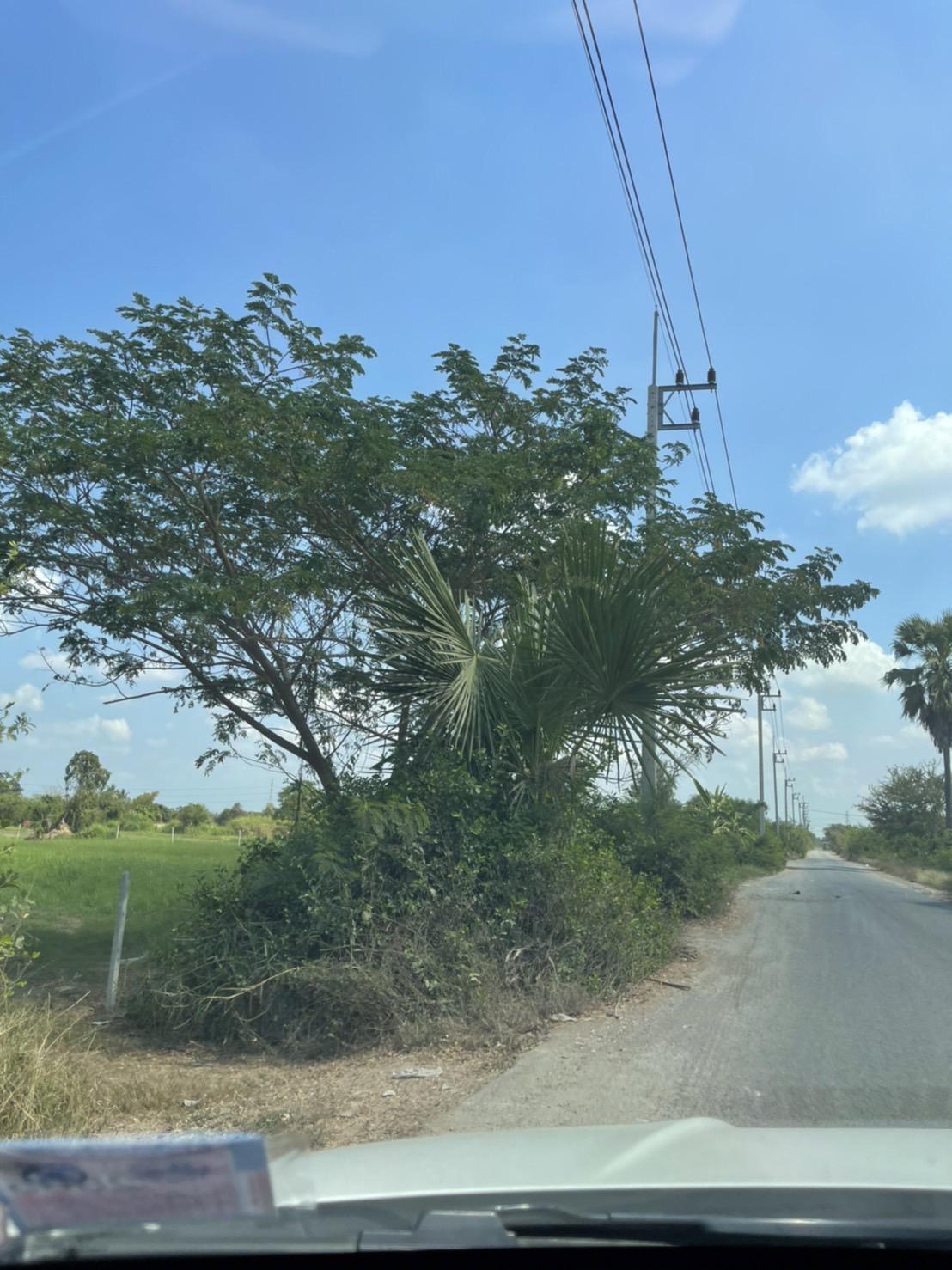 L302 ขายที่ดินทำเลดี เนื้อที่ 6 ไร่ เมืองบ้านโป่ง ราชบุรี | ที่ดินร้อย ...