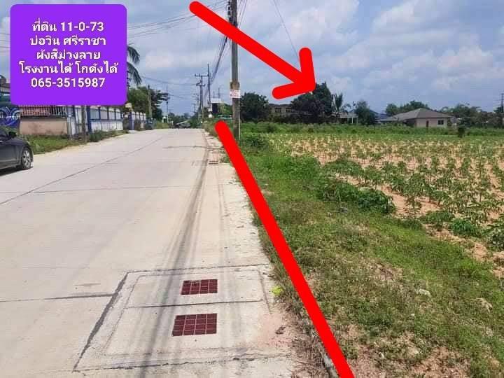 R624-050 #ผังม่วงลาย #อุตสาหกรรม เหลือไม่มากแล้วเขตนี้ เนื้อที่ 11ไร่ ...